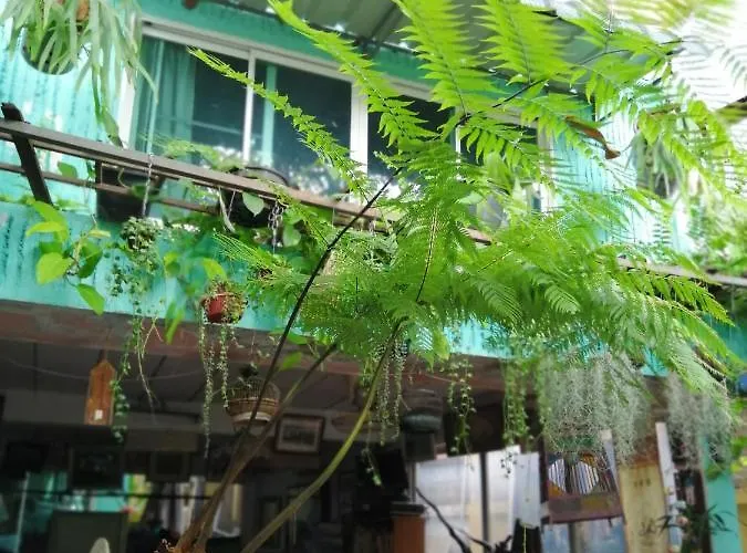 2 Sister Cafe' And